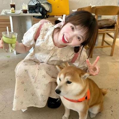 狐门秘事第一季